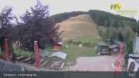 Archiv Foto Webcam Medebach: Schlossberg Alm 04:00