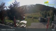 Archiv Foto Webcam Medebach: Schlossberg Alm 08:00