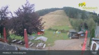 Archiv Foto Webcam Medebach: Schlossberg Alm 11:00