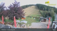 Archiv Foto Webcam Medebach: Schlossberg Alm 14:00