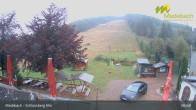 Archived image Webcam Medebach: View Schlossberg Alm 04:00