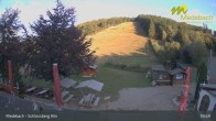 Archived image Webcam Medebach: View Schlossberg Alm 16:00