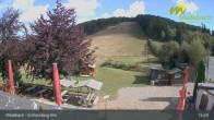 Archiv Foto Webcam Medebach: Schlossberg Alm 14:00