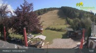 Archiv Foto Webcam Medebach: Schlossberg Alm 12:00