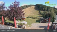 Archiv Foto Webcam Medebach: Schlossberg Alm 14:00