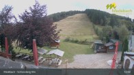 Archived image Webcam Medebach: View Schlossberg Alm 12:00