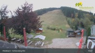 Archiv Foto Webcam Medebach: Schlossberg Alm 10:00
