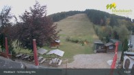 Archiv Foto Webcam Medebach: Schlossberg Alm 12:00