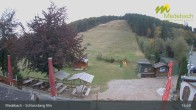 Archiv Foto Webcam Medebach: Schlossberg Alm 14:00