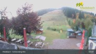 Archiv Foto Webcam Medebach: Schlossberg Alm 14:00