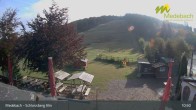 Archiv Foto Webcam Medebach: Schlossberg Alm 17:00
