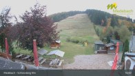 Archiv Foto Webcam Medebach: Schlossberg Alm 16:00