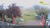 Archiv Foto Webcam Medebach: Schlossberg Alm 07:00