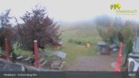 Archiv Foto Webcam Medebach: Schlossberg Alm 08:00