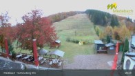 Archiv Foto Webcam Medebach: Schlossberg Alm 08:00