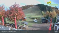 Archiv Foto Webcam Medebach: Schlossberg Alm 14:00