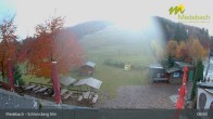 Archived image Webcam Medebach: View Schlossberg Alm 08:00