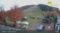 Archived image Webcam Medebach: View Schlossberg Alm 10:00
