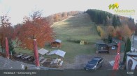 Archived image Webcam Medebach: View Schlossberg Alm 12:00