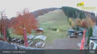 Archiv Foto Webcam Medebach: Schlossberg Alm 08:00