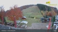 Archiv Foto Webcam Medebach: Schlossberg Alm 12:00