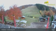 Archiv Foto Webcam Medebach: Schlossberg Alm 14:00