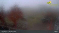 Archiv Foto Webcam Medebach: Schlossberg Alm 07:00