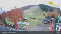 Archiv Foto Webcam Medebach: Schlossberg Alm 10:00