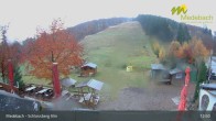 Archiv Foto Webcam Medebach: Schlossberg Alm 12:00