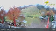Archiv Foto Webcam Medebach: Schlossberg Alm 14:00