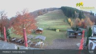 Archived image Webcam Medebach: View Schlossberg Alm 12:00