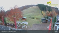 Archived image Webcam Medebach: View Schlossberg Alm 14:00