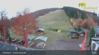 Archived image Webcam Medebach: View Schlossberg Alm 16:00