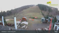 Archiv Foto Webcam Medebach: Schlossberg Alm 08:00