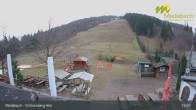 Archiv Foto Webcam Medebach: Schlossberg Alm 12:00