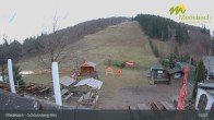 Archiv Foto Webcam Medebach: Schlossberg Alm 14:00
