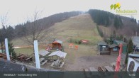 Archiv Foto Webcam Medebach: Schlossberg Alm 12:00
