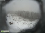 Archiv Foto Webcam Rennsteigwarte im Thüringer Wald 09:00