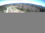 Archiv Foto Webcam Rennsteigwarte im Thüringer Wald 09:00