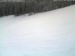 Archiv Foto Webcam Schwarzwald: Kaltenbronn 07:00