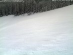 Archiv Foto Webcam Schwarzwald: Kaltenbronn 09:00