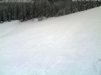 Archiv Foto Webcam Schwarzwald: Kaltenbronn 11:00