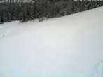 Archiv Foto Webcam Schwarzwald: Kaltenbronn 13:00