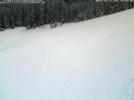 Archiv Foto Webcam Schwarzwald: Kaltenbronn 15:00