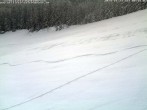 Archiv Foto Webcam Schwarzwald: Kaltenbronn 07:00