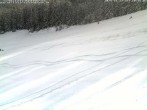 Archiv Foto Webcam Schwarzwald: Kaltenbronn 09:00