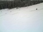 Archiv Foto Webcam Schwarzwald: Kaltenbronn 11:00