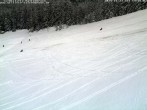 Archiv Foto Webcam Schwarzwald: Kaltenbronn 13:00