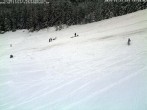 Archiv Foto Webcam Schwarzwald: Kaltenbronn 15:00