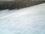 Archiv Foto Webcam Schwarzwald: Kaltenbronn 07:00